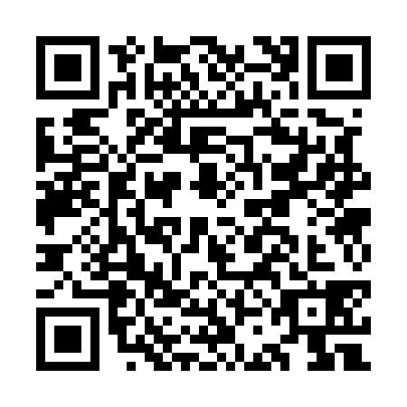 QR code for OCC5384