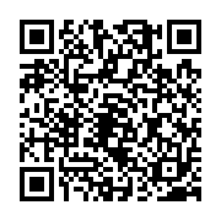QR code for ODY7138