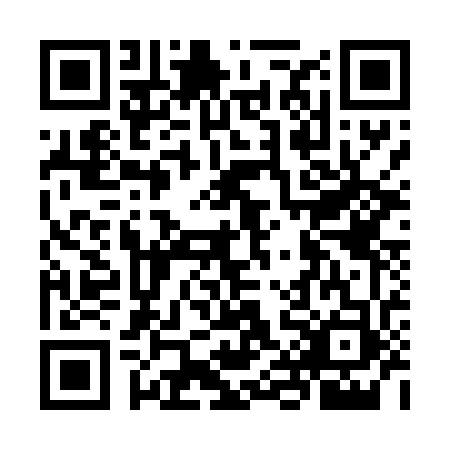 QR code for OIG4738