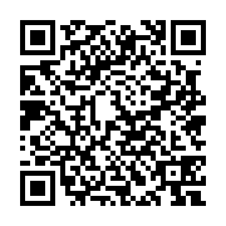 QR code for OLE0381
