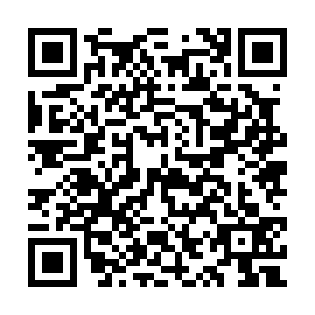 QR code for OYZ0336