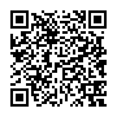 QR code for OZT0384
