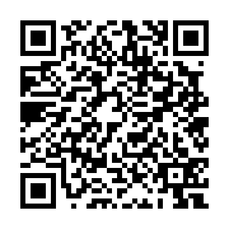 QR code for PAG0333