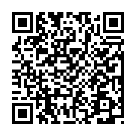 QR code for PAG0528