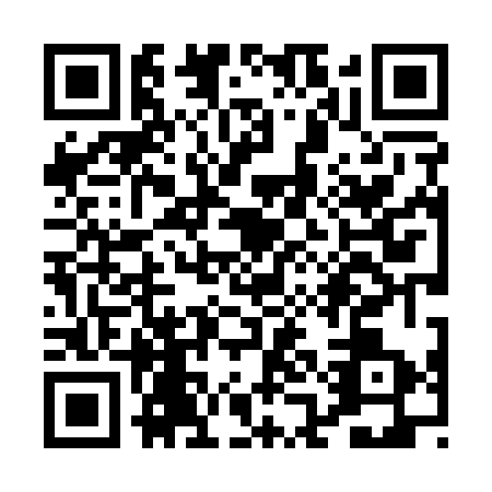 QR code for PAL1739