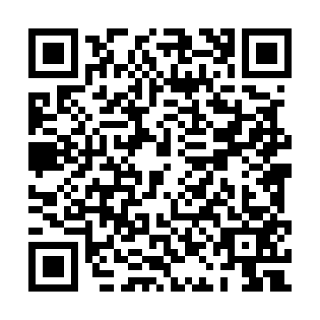 QR code for PAL5538