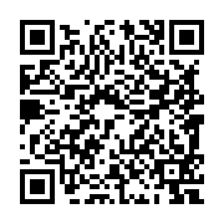 QR code for PAL8938