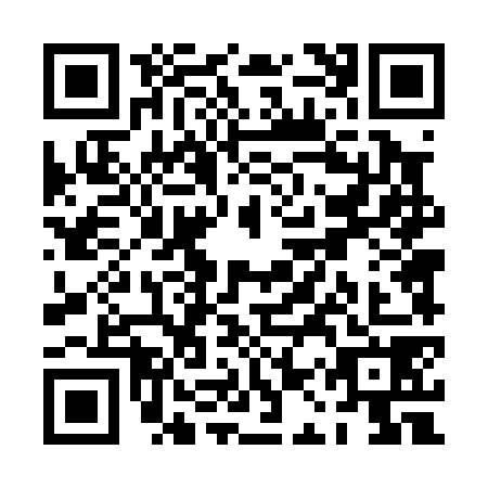 QR code for PAT0787
