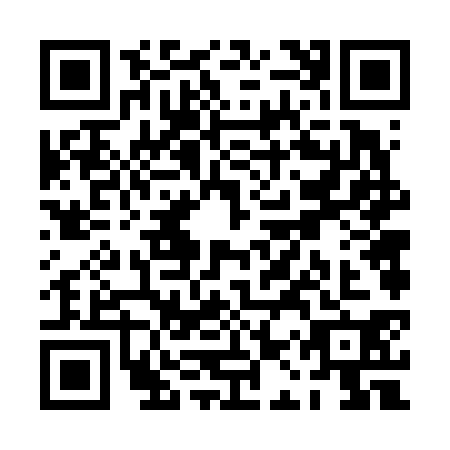 QR code for PAV6307