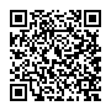 QR code for PAV8063
