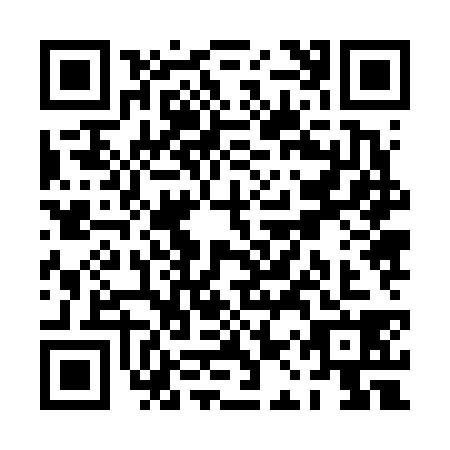QR code for PAZ6385