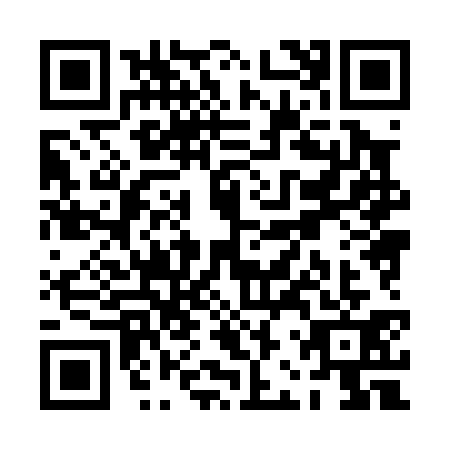 QR code for PBX0317