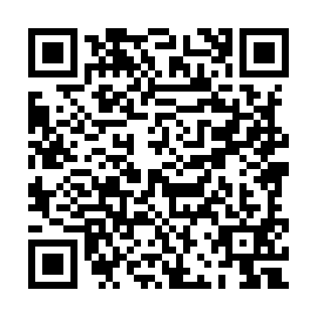 QR code for PBX9919