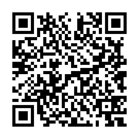 QR code for PDD8393