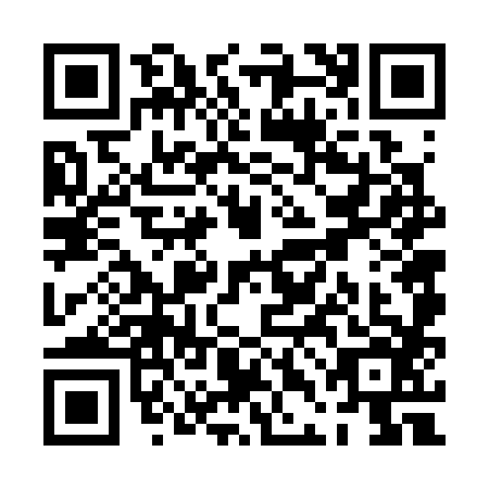 QR code for PDF3869
