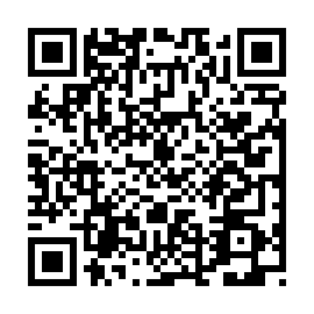 QR code for PDF4601