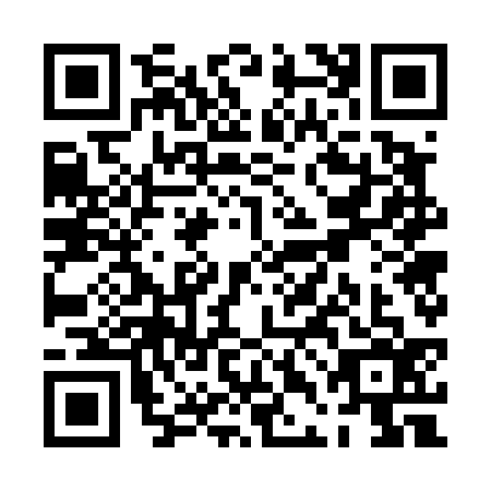 QR code for PDG4369