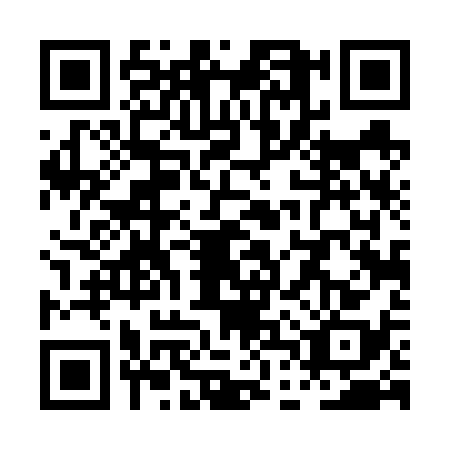 QR code for PDT6385