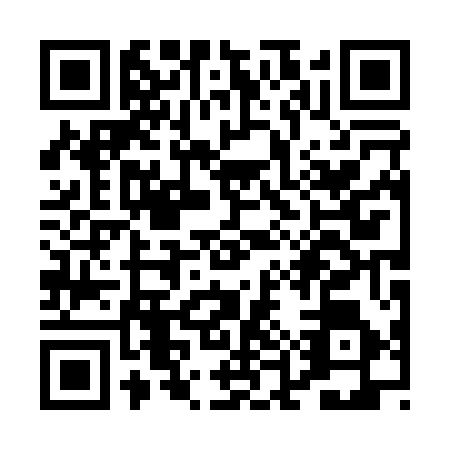 QR code for PEP0569
