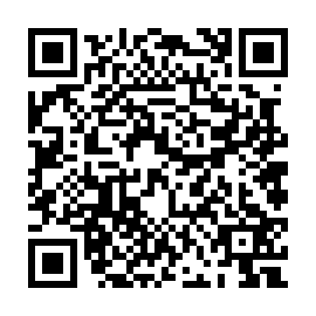 QR code for PFF0234