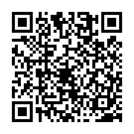 QR code for PGA4638