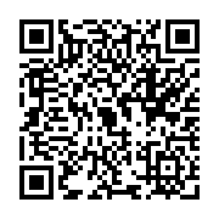 QR code for PGG0463