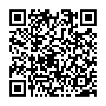 QR code for PGM4101