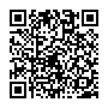 QR code for PGO0993