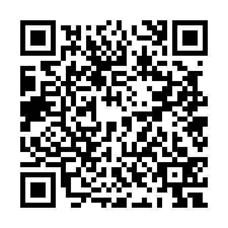 QR code for PIG0338