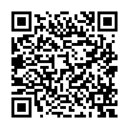 QR code for PII3875