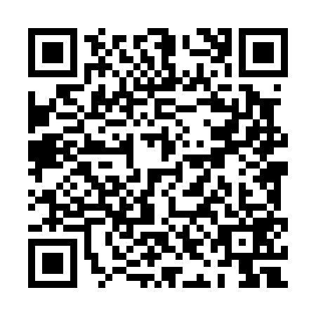 QR code for PIL0597