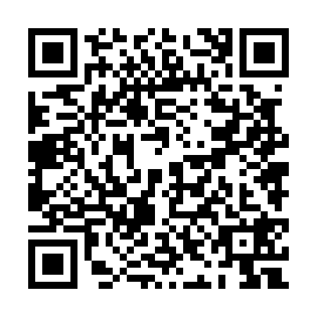 QR code for PIN0289