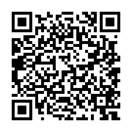QR code for PIN0495