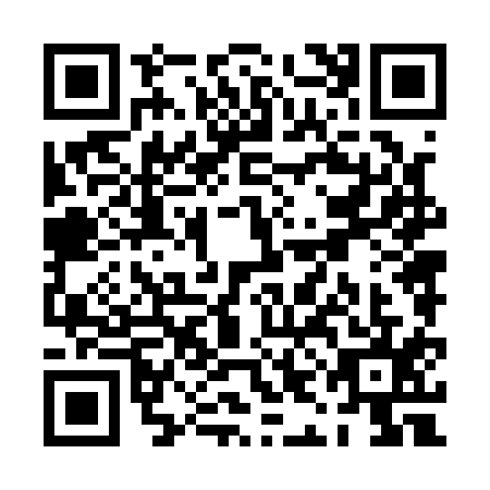 QR code for PIN1156