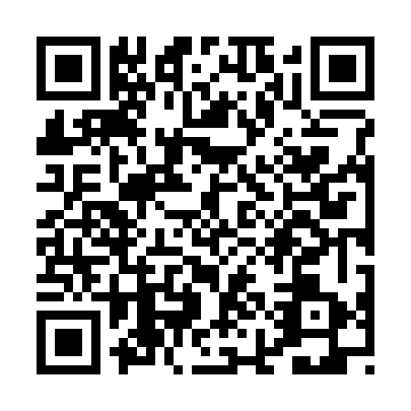 QR code for PIN3630