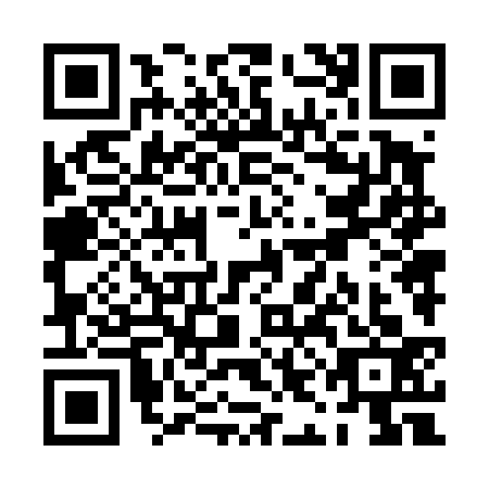 QR code for PIN4337