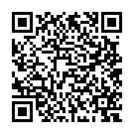 QR code for PIR0177
