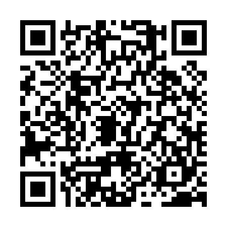 QR code for PIR0646