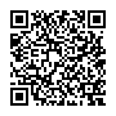 QR code for PIS1117