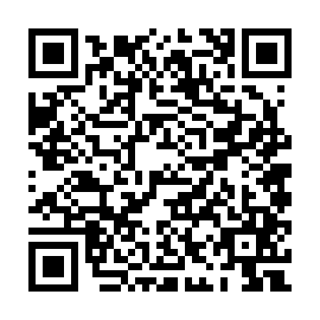 QR code for PIV2450