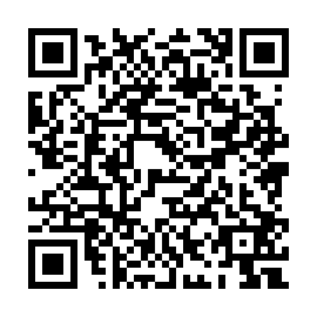 QR code for PIX3029