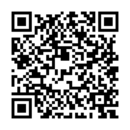 QR code for PIZ9166