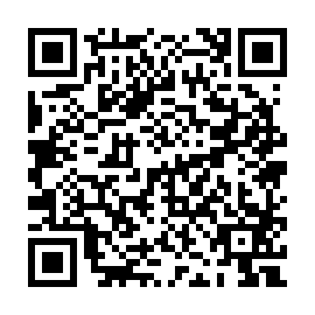 QR code for PJA2838