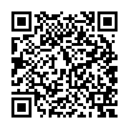 QR code for PJF2013