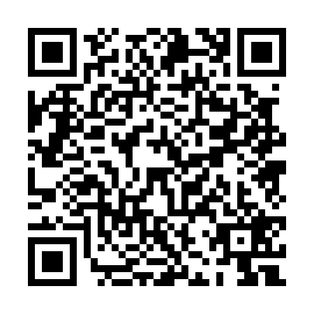 QR code for PJP0299