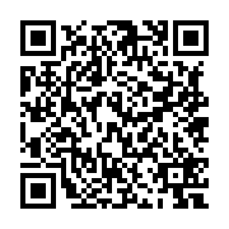 QR code for PJZ8291