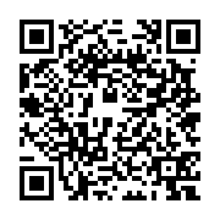 QR code for PKU0317