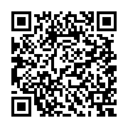 QR code for PLG4938