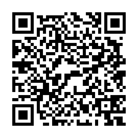 QR code for PMP4383