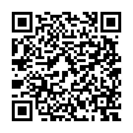 QR code for PMS4867